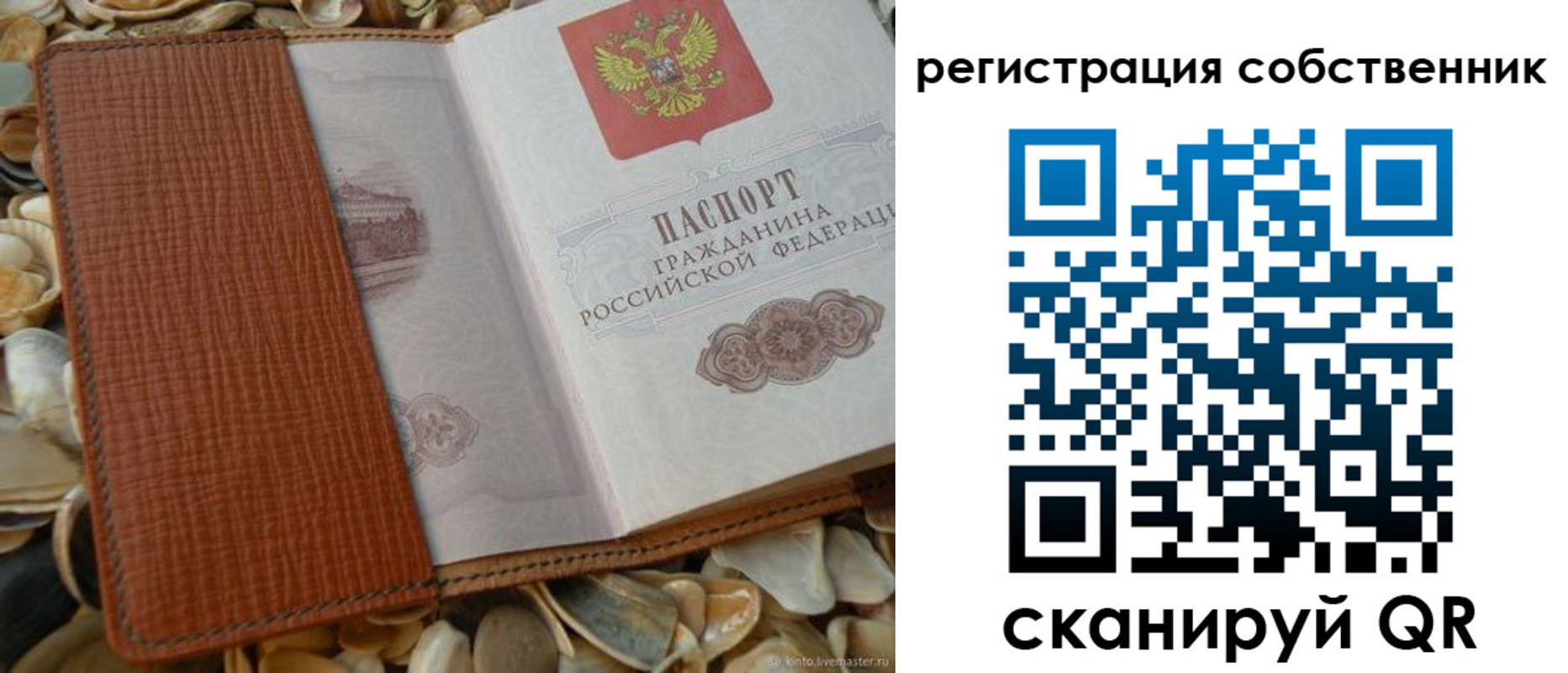 временная регистрация для школы в Ивантеевке